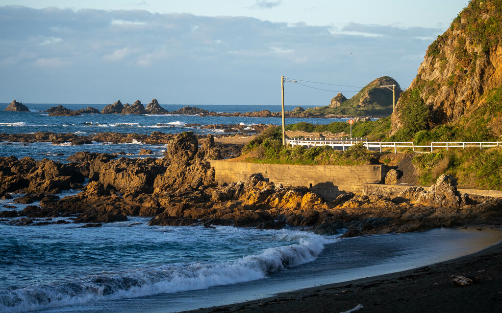 Wellington coastal drive by christinav