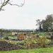 Winterised allotments by 365anne