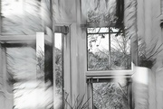 27th Nov 2023 - Conservatory windows....