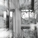 Conservatory windows....