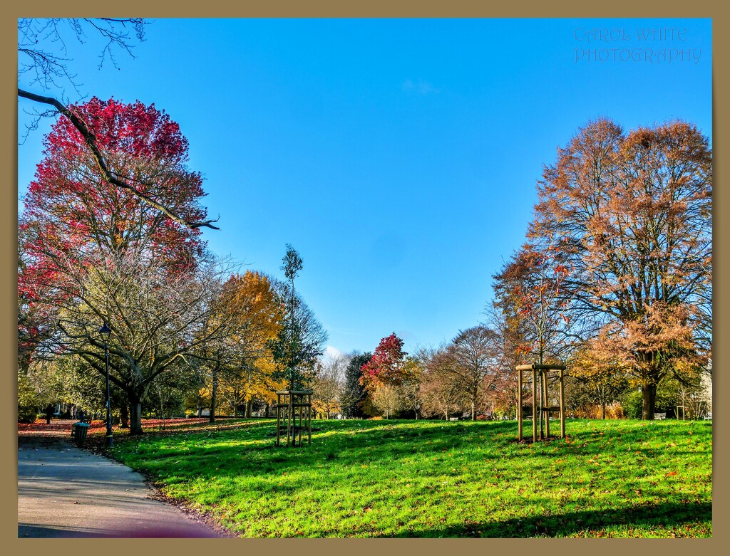 Park View,Jephson Gardens by carolmw