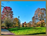 27th Nov 2023 - Park View,Jephson Gardens