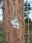 25th Nov 2023 - One of the clay faces made at our Forest School session today 