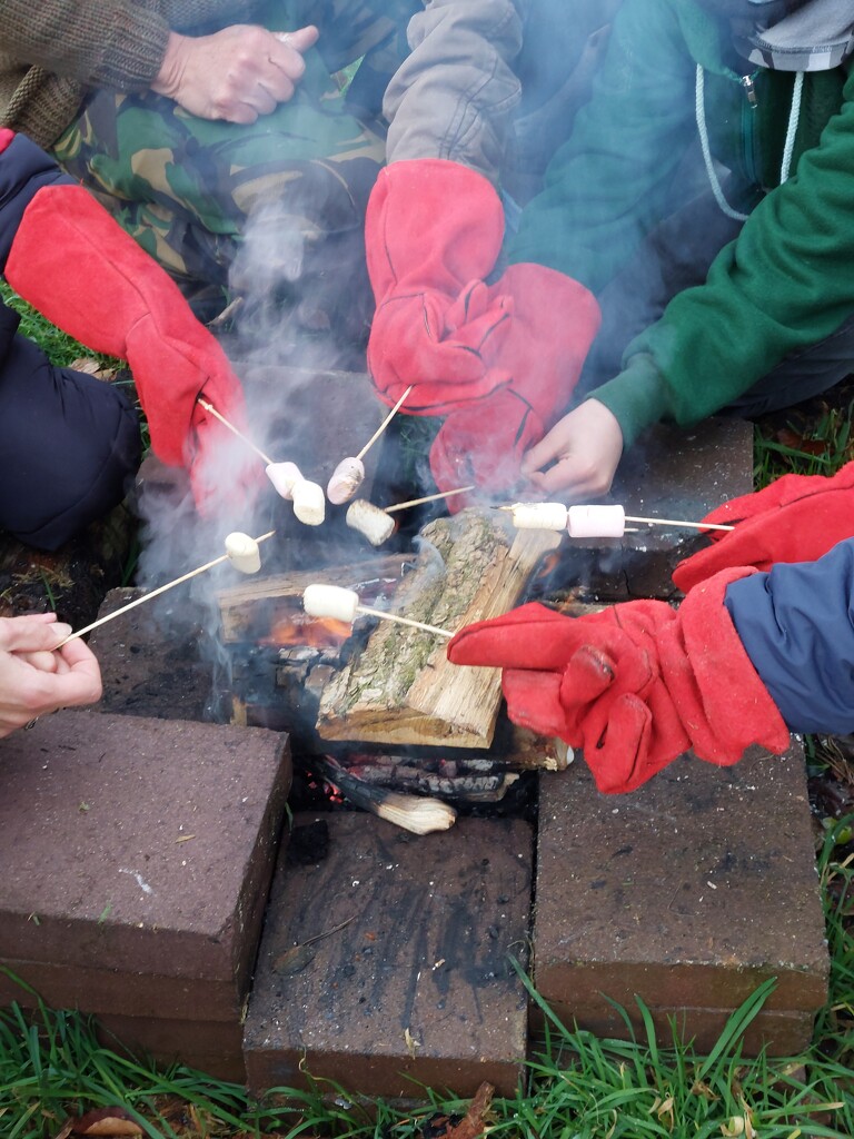 Toasting marshmallows over the fire at Forest School  by samcat