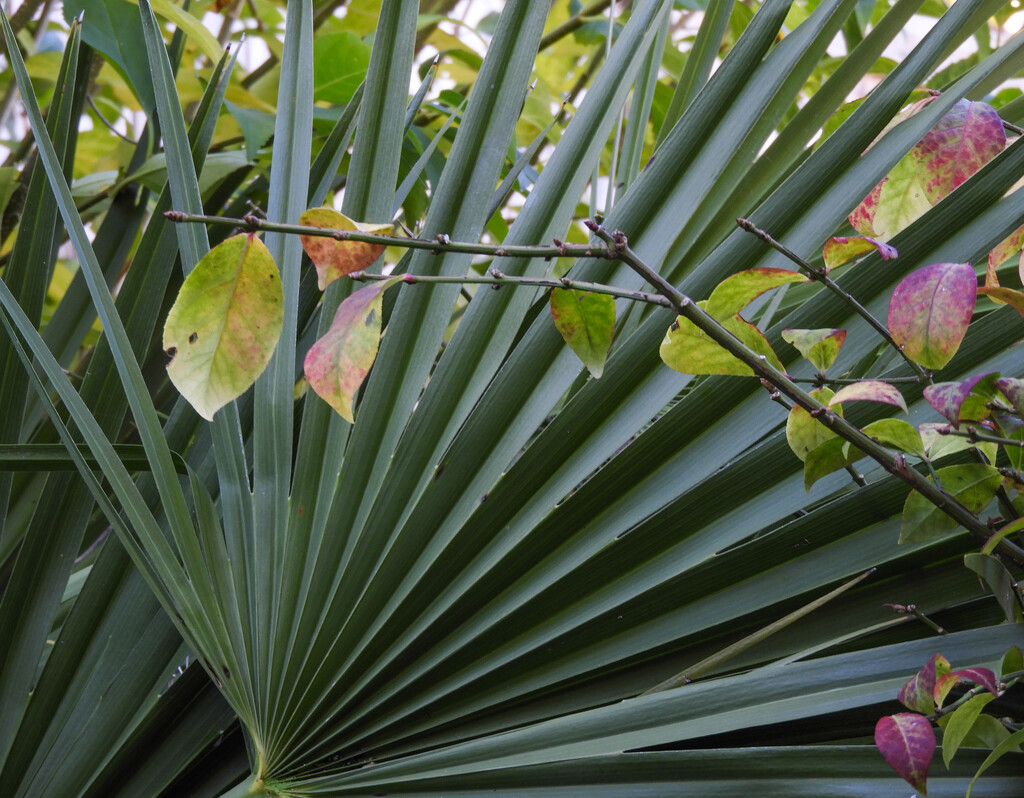 Shades of Green by tiaj1402