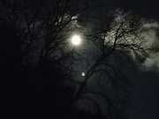 27th Nov 2023 - Beaver Moon 