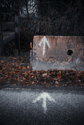 27th Nov 2023 - Pairs Project #7 - This Way