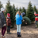 Selecting the perfect Christmas tree  by dridsdale