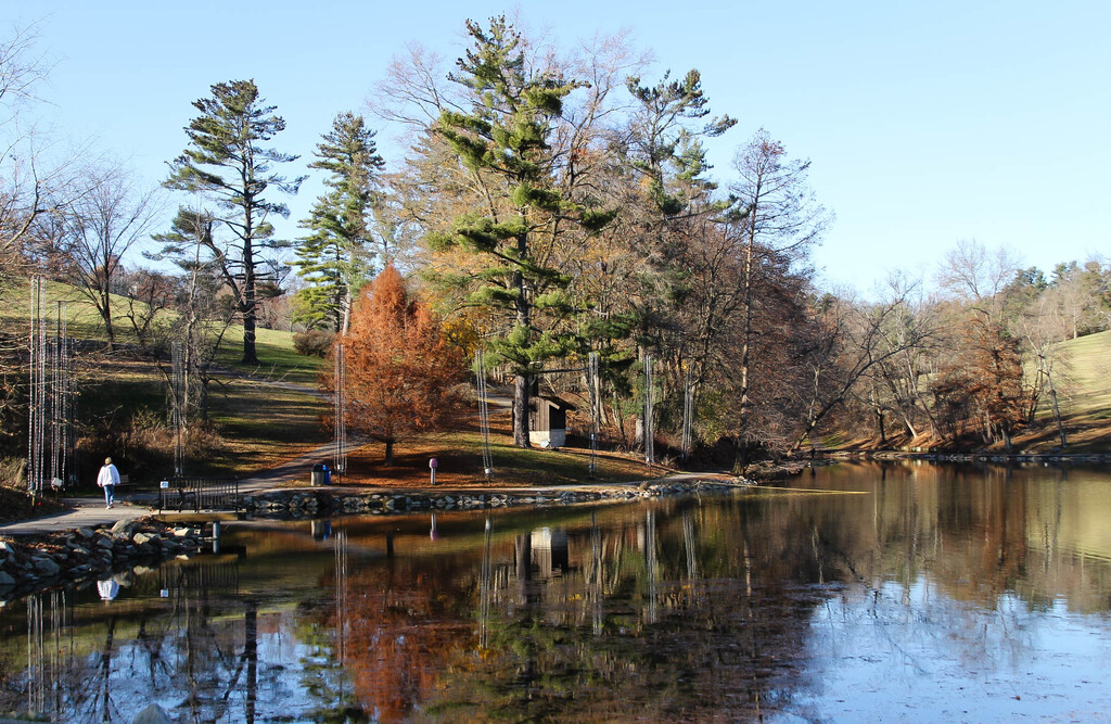 Pretty park scene with reflections. by mittens