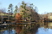 28th Nov 2023 - Pretty park scene with reflections.