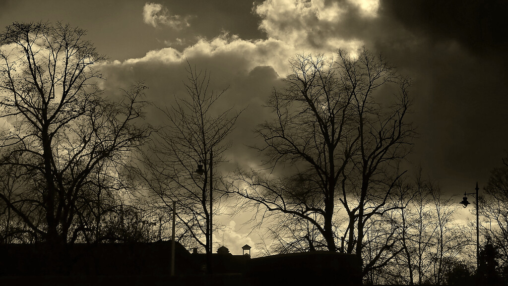 Dark Cloud.........955 by neil_ge