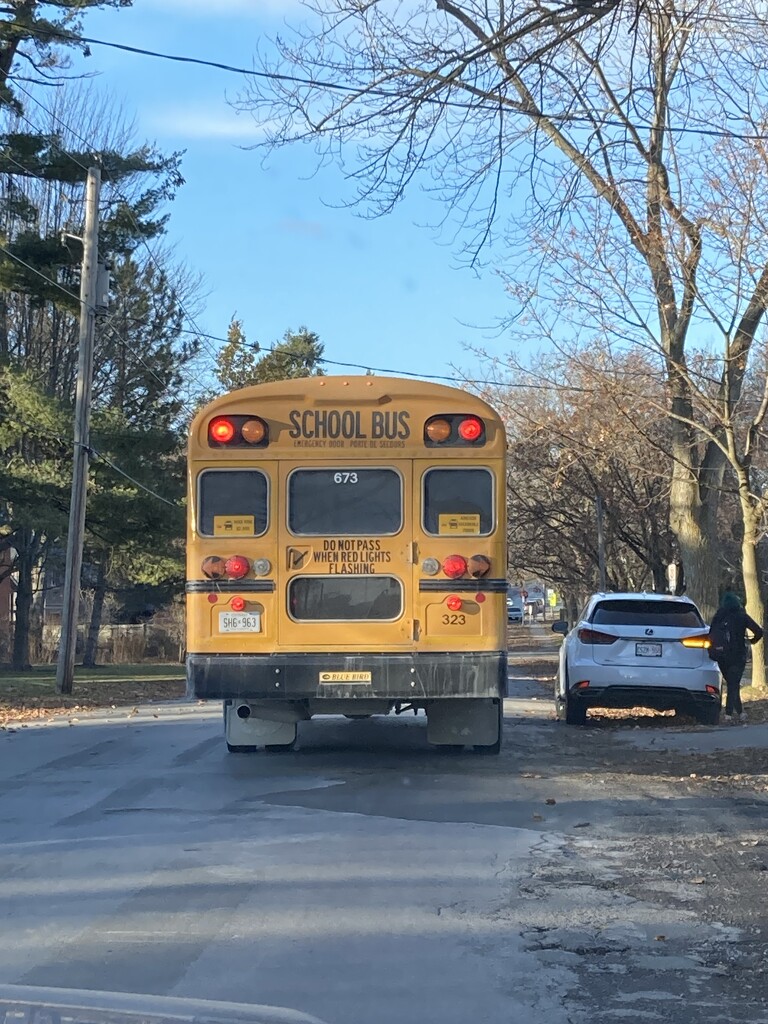 School Bus  by spanishliz