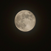 27th Nov 2023 - "Beaver" Moon