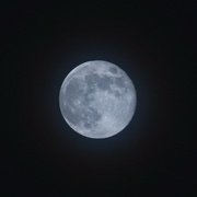 27th Nov 2023 - "Only Once In A Blue Moon..."