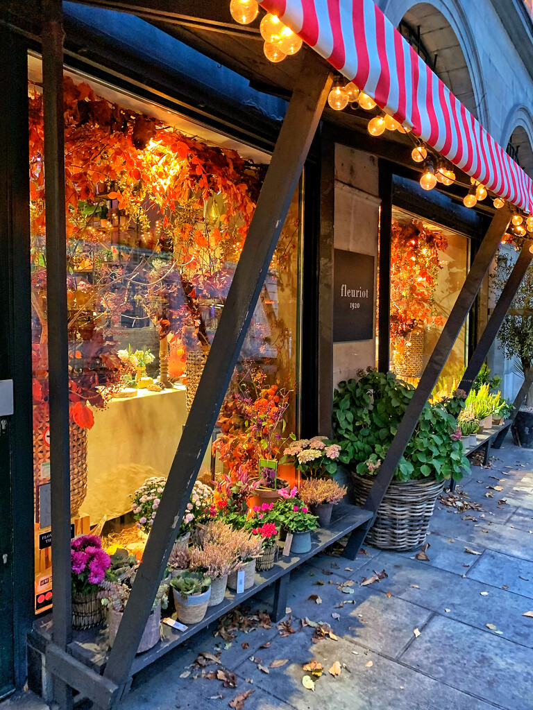 Flower shop.  by cocobella