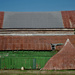 An old barn shot with an old lens