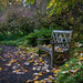 Garden Path Bench by theredcamera
