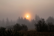 28th Nov 2023 - Misty Morning Reflections