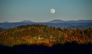 27th Nov 2023 - The Beaver Moon Arises