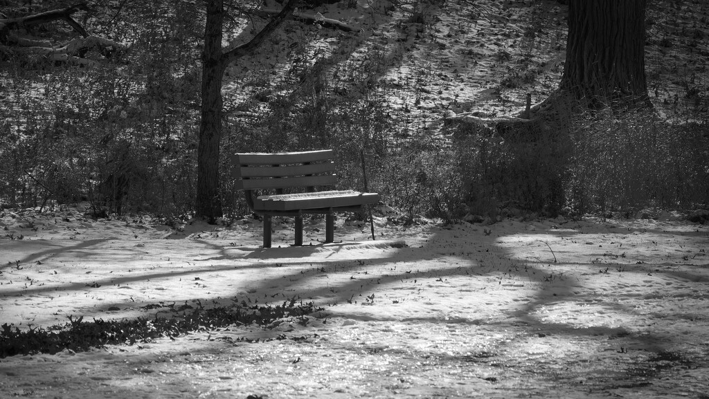 bench by rminer