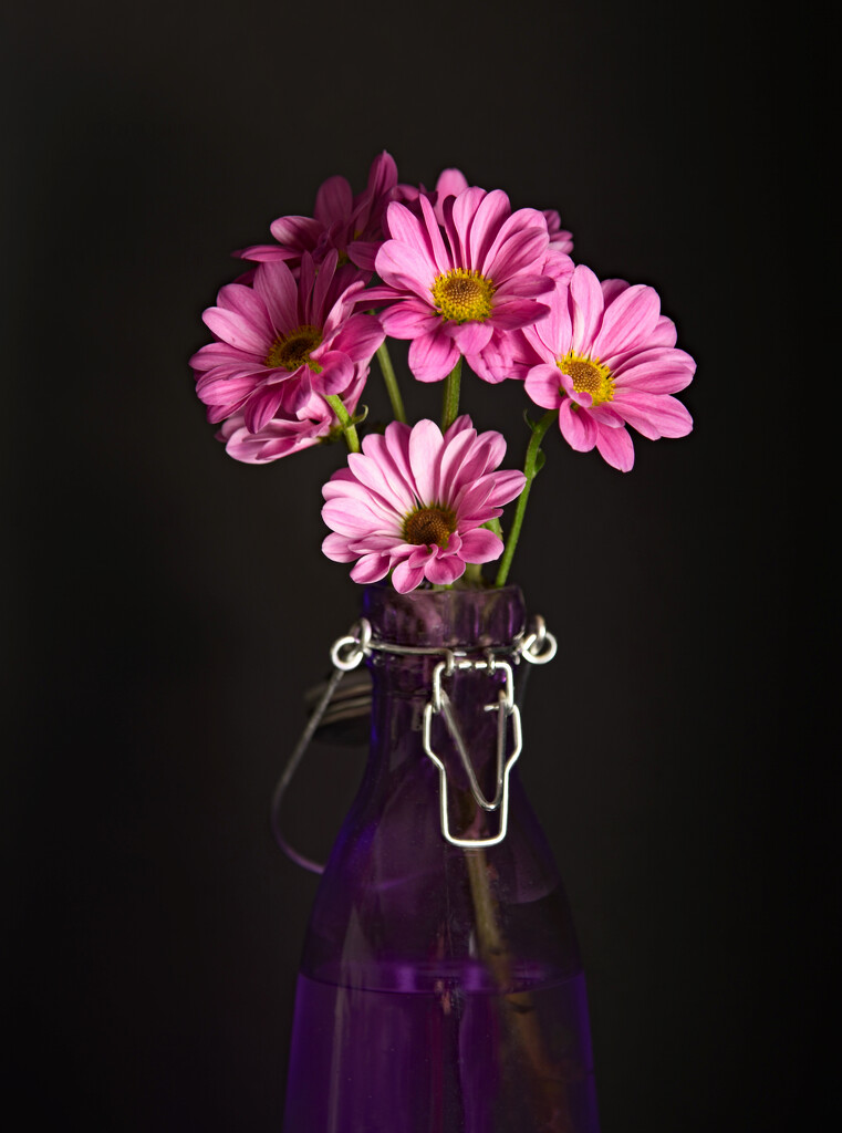 Purple Vase  by paintdipper
