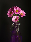 29th Nov 2023 - Purple Vase 