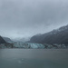 Glacier Bay, Alaska by swchappell