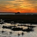 Marsh sunset, Mt. Pleasant, SC by congaree