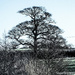 A winters day