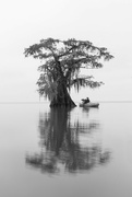 12th Nov 2023 - Kayak Photography in the Bayou