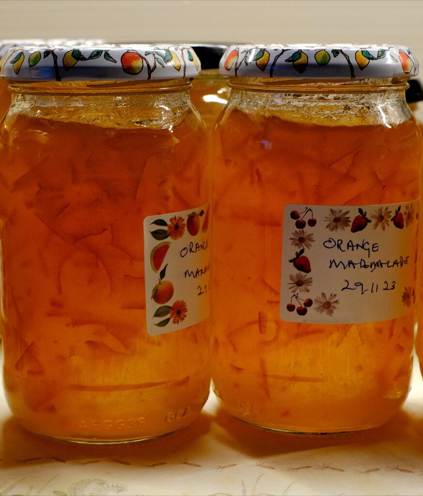 Orange Marmalade reserved for sponge pudding by allsop