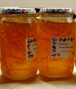 30th Nov 2023 - Orange Marmalade reserved for sponge pudding
