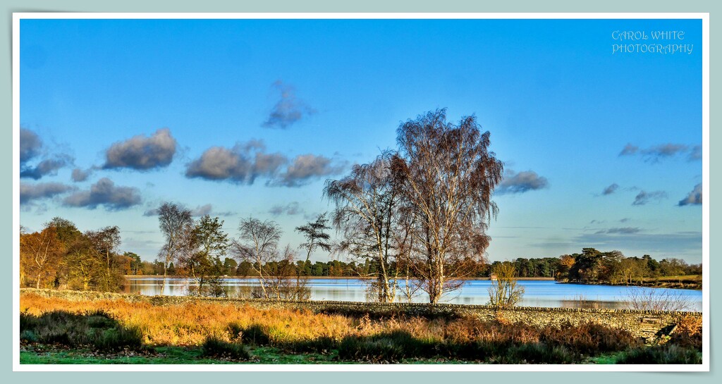 Cropston Reservoir,Bradgate Park by carolmw