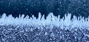 30th Nov 2023 - Tiny frost crystals