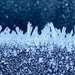 Tiny frost crystals