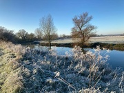 30th Nov 2023 - A frosty riverside walk at St Ives nr Cambridge (courtesy of daughter Helen)