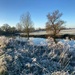 A frosty riverside walk at St Ives nr Cambridge (courtesy of daughter Helen)