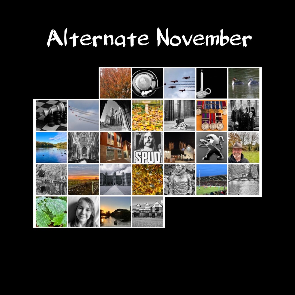 Alternate November  by phil_sandford
