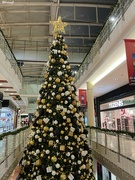 30th Nov 2023 - Christmas tree