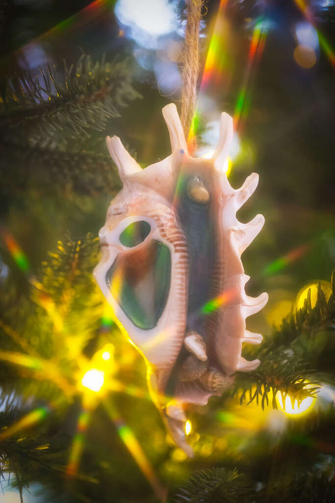 Christmas #5/30 - Ornament (day 35) by i_am_a_photographer