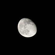 30th Nov 2023 - Moon