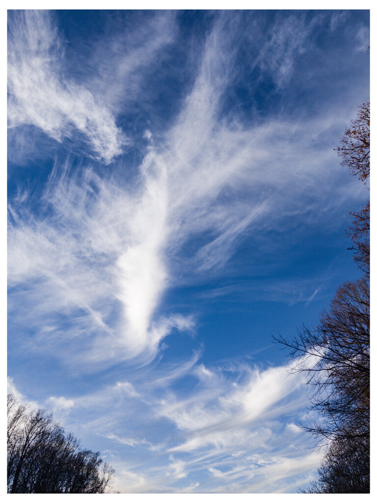 Wispy clouds by robgarrett
