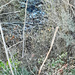 Glimpse of the creek bed