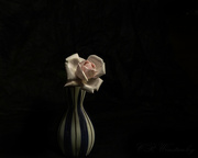 29th Nov 2023 - Rose in a Vase