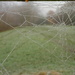 Icy Cobwebs by jesika2