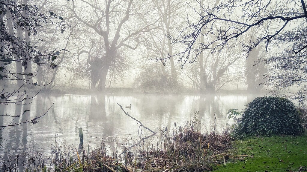 Sudden Fog! by carole_sandford