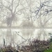 Sudden Fog! by carole_sandford