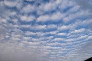 30th Nov 2023 - 11 30 Fluffy Clouds before the rain