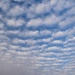 11 30 Fluffy Clouds before the rain by sandlily