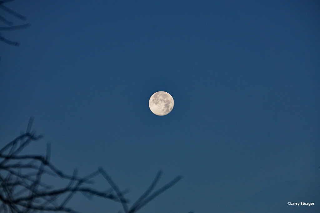 Full moon by larrysphotos